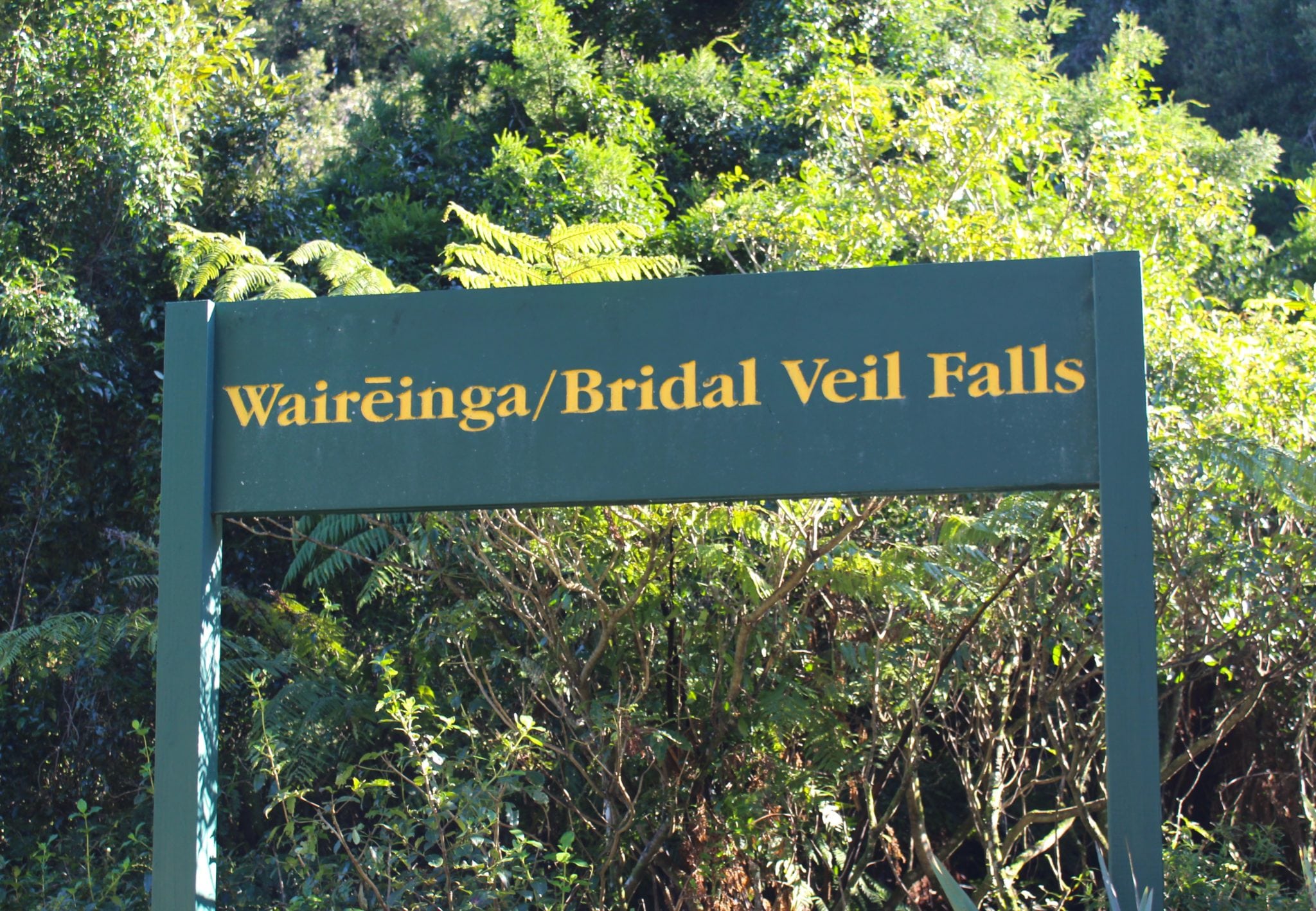 Bridal Veil Falls Raglan Surf Vacation Trip