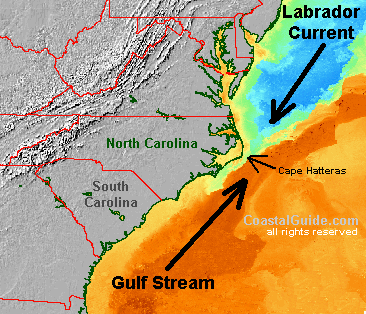 Outer Banks Fish Currents 
